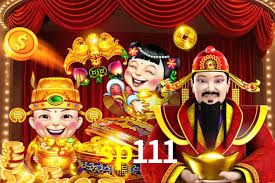 sp111.com